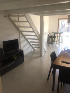DEPARTAMENTO, Tipo loft GUEMES